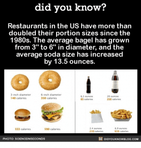 Did you know about US Portion Sizes?